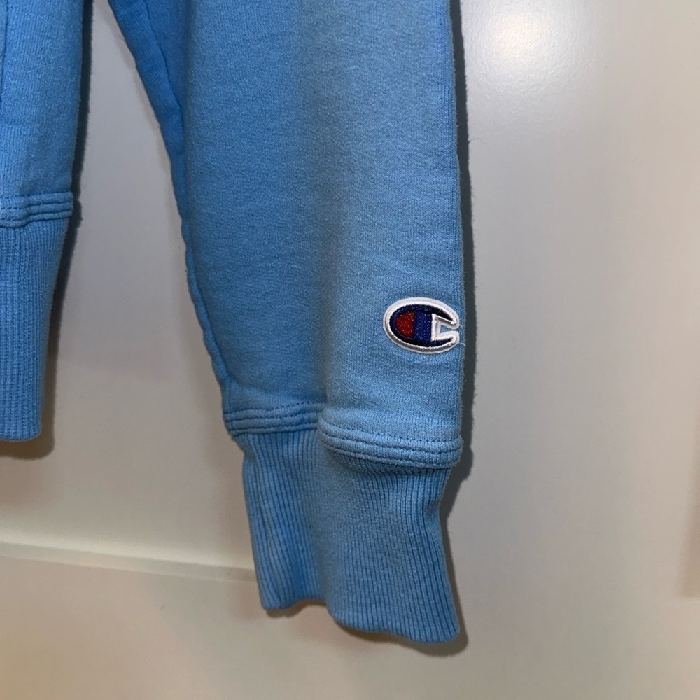 Champion Hoodie Size Small EUC - Picture 4 of 6